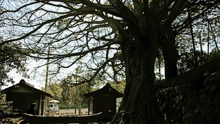 よく残されていたと感心