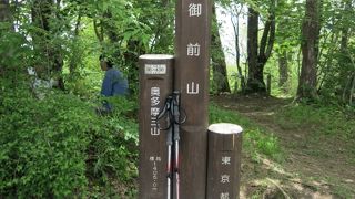 奥多摩三山のまんなか、ブナ林も美しい