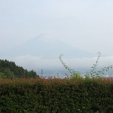 オートキャンプサイトから望む富士山