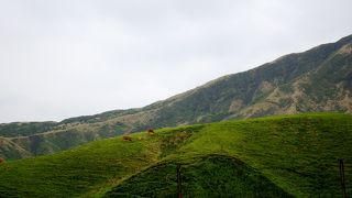 天候に左右されやすい