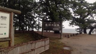 森林浴が気持ちいい