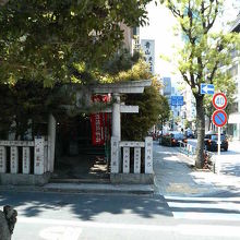 街路樹の多い表参道の中で、一際木が茂っています。