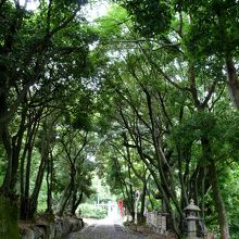 緑が気持ちいい