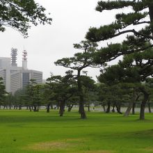 まさに都会のオアシス