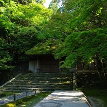 茅葺屋根の苔もいい感じです。