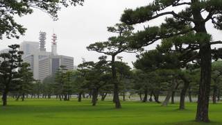 東京のオアシス