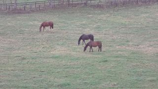 トイレしかない?