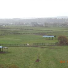 馬に対して土地が広すぎない？