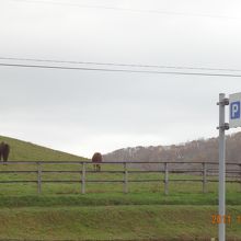 結構近くにいるのねー。