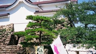 平成23年春には赤瓦になりました