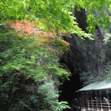 正面入り口、勘違いで紅葉したモミジ。