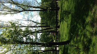 メインストリート