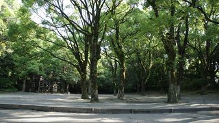 ここで鳴らされる空砲の音が昼飯の合図