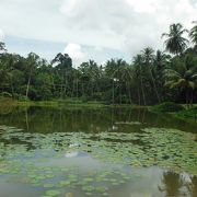 シンガポールの昔ながらの生活が残る島