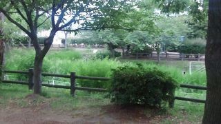 グラウンド、テニスコートもある大きな公園