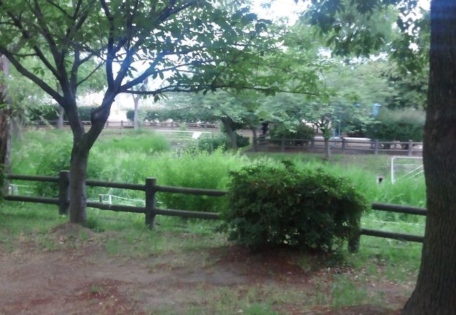 南寝屋川公園 クチコミ アクセス 営業時間 寝屋川 枚方 交野 フォートラベル 南寝屋川公園 クチコミ アクセス 営業時間 寝屋川 枚方 交野 フォートラベル