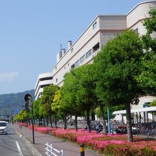 整備された道路沿いにあります