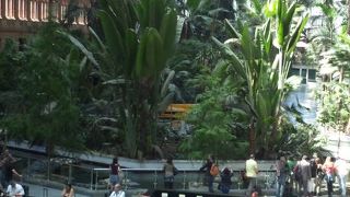 マドリードで最大の駅