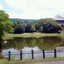 静かな水面にきれいに大仏殿が映りこみます。