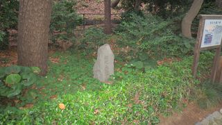 面影はありませんが