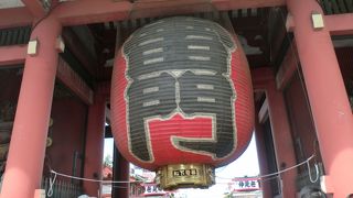 見るだけでなく食の楽しみも！