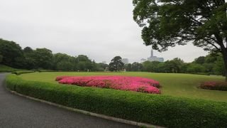 今は広大な芝生が広がっています
