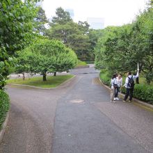 新緑の季節も素敵です