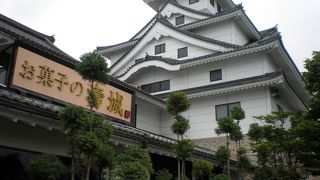 建物も本当のお城の様だが充実した店内も面白い。