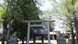 ここにも御柱がありました