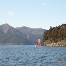 箱根神社が見えてきた