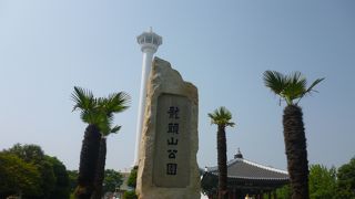 高台からの景色はきれいです。