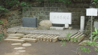 白い花がきれい