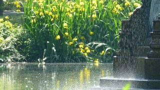 都会のオアシス？