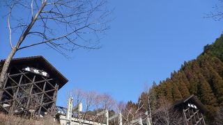 自然の中で鳥のさえずりをBGMに過ごせます。