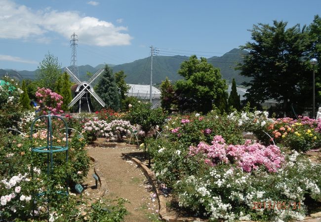 ハーブ庭園旅日記