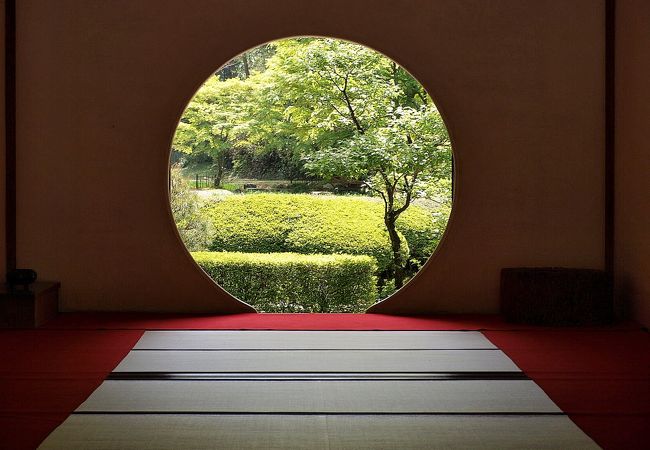 明月院(あじさい寺)