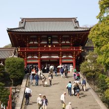 鶴岡八幡宮にて