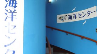 ベランダから酒田港が一望