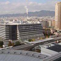 窓から見える景色、最高！