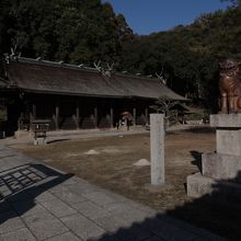 思いのほか立派