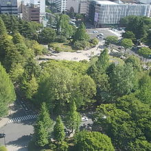 県庁から見た勾当台公園