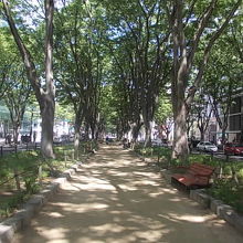 道路中央部の歩道の様子