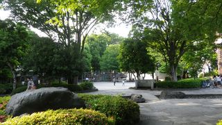 旧古河庭園に近い細長い公園
