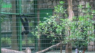 都会の中のグリーンスペース