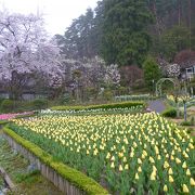花巻温泉バラ園 クチコミ アクセス 営業時間 花巻 フォートラベル 花巻温泉バラ園 クチコミ アクセス 営業時間 花巻 フォートラベル