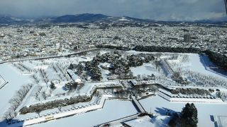 五稜郭タワーからの景色は最高♪
