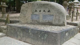 庭内の樹木に注目