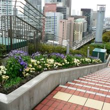 風車や太陽光の再生可能エネルギーで発電している天空の農園