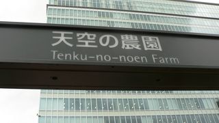 風車や太陽光の再生可能エネルギーで発電しているＪＲ大阪駅の天空の農園