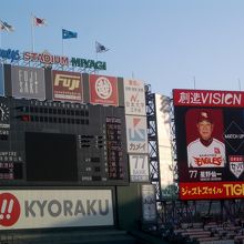 球場で見る野球は面白い！